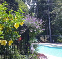 Tropical Coast Retreat - Pet Friendly - Airlie Beach Holiday
