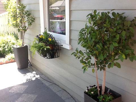 Redruth Cottage - Airlie Beach Holiday 19