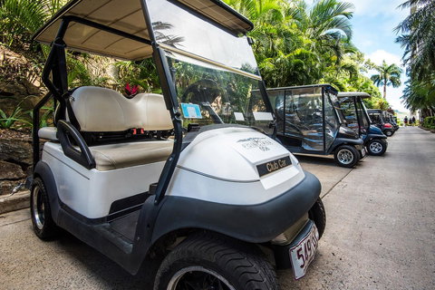 Beach Lodges - Airlie Beach Holiday 40