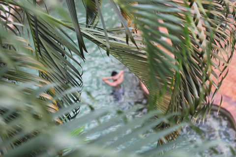 Coral Tree Inn - Airlie Beach Holiday 36