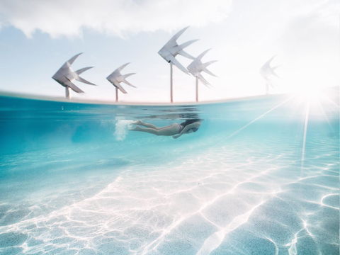 Coral Tree Inn - Airlie Beach Holiday 39