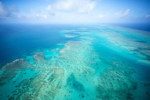 Coral Tree Inn - Airlie Beach Holiday 37