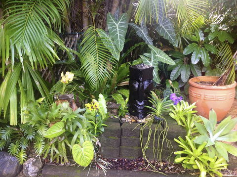 Bluewater Bed & Breakfast Cairns - Airlie Beach Holiday 16