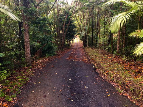 Daintree Manor B&B - Airlie Beach Holiday 12