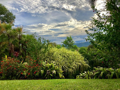 Daintree Manor B&B - Airlie Beach Holiday 2