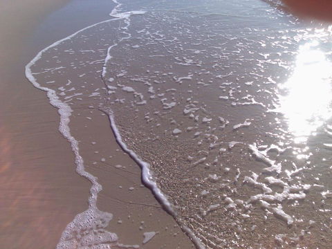 Close To Surf Beach, Surf Club, Hotel And Shops - Boyd St, Woorim - Airlie Beach Holiday 10