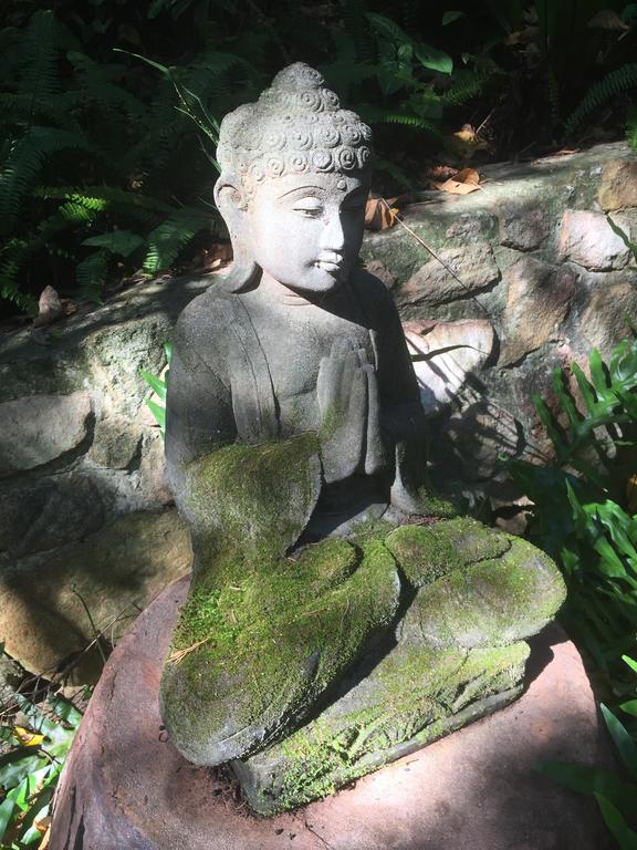 Coolum QLD Airlie Beach Holiday