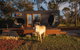 Hill Top Tiny River House - thumb 2