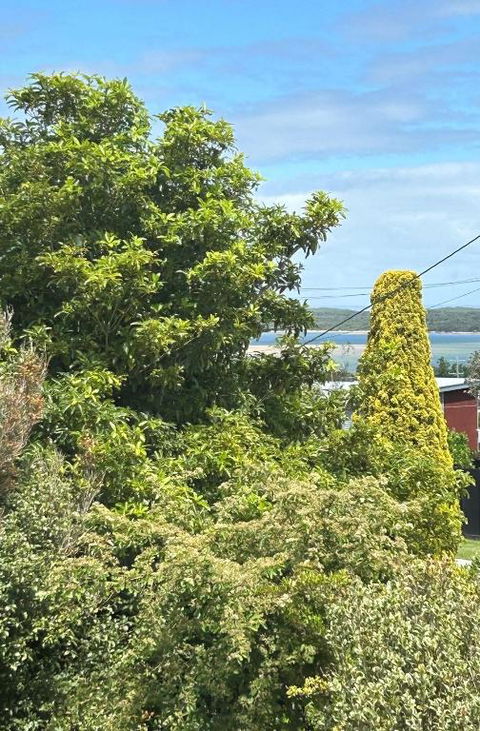 Iconic Beach House On Bruce - Airlie Beach Holiday 1