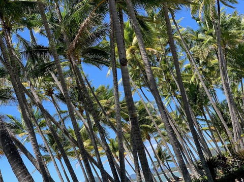 IMPORTANT MESSAGE This Property Is Not Currently Available For Holiday Letting - Airlie Beach Holiday 1