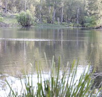 Arcadian Cabin - Southern Highlands River Retreat - Airlie Beach Holiday