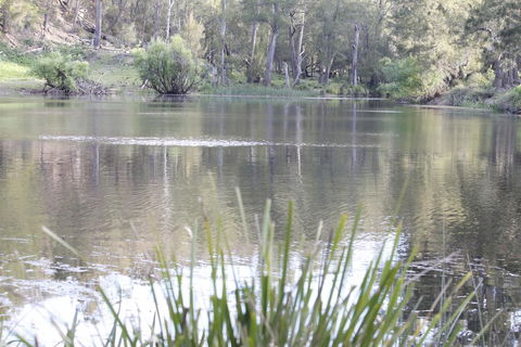 Arcadian Cabin - Southern Highlands River Retreat - Airlie Beach Holiday 0