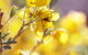 Pichi Richi Park - thumb 2