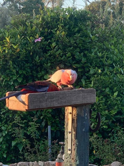 Pier 9 - Airlie Beach Holiday 3