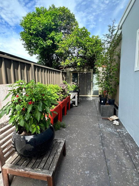 Private, Local Living Studio In Mascot, Airport - Airlie Beach Holiday 2
