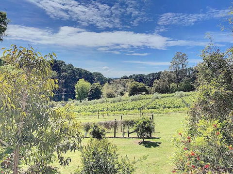 Red Hill Lane 5BedroomVineyard&RuralValleyViews - Airlie Beach Holiday 3