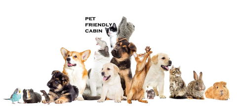 Australian Motor Homes Tourist Park - Airlie Beach Holiday 1