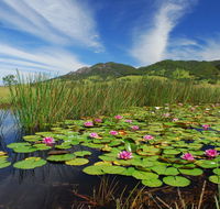 Barrington Hideaway- River Cottages - Airlie Beach Holiday