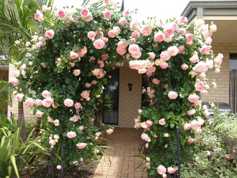 Baudins Of Busselton Bed And Breakfast - Airlie Beach Holiday 0