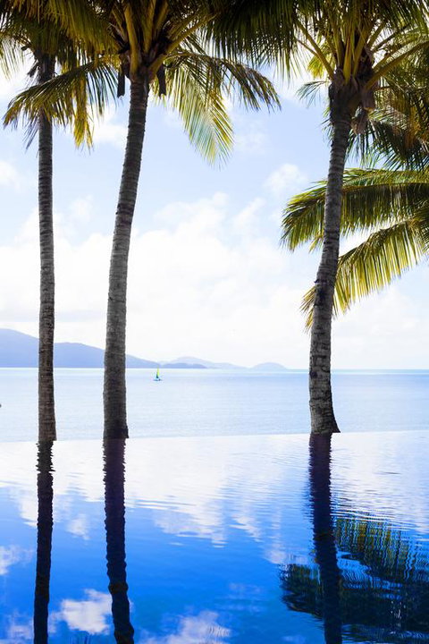 Beach Club - Airlie Beach Holiday 3