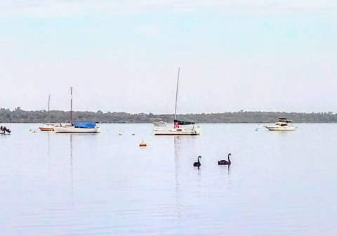 Beautiful, Peaceful Estuary Views, Five Star Quantity - Airlie Beach Holiday 3