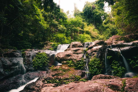 Binna Burra Rainforest Campsite - Airlie Beach Holiday 3