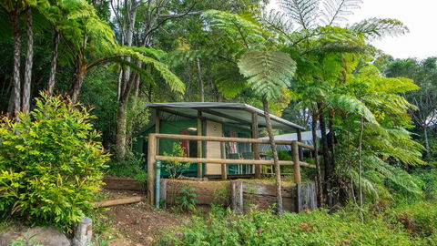 Binna Burra Rainforest Campsite - Airlie Beach Holiday 0