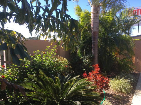 Bluewater Harbour Motel - Airlie Beach Holiday 3