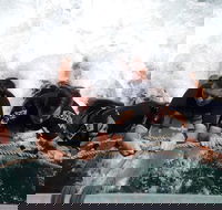 Cruise in Moreton Bay Marine Park and Moreton Island - Airlie Beach Holiday