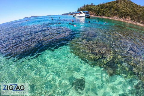 Whitehaven Beach Day Tour With Snorkel In Whitsundays Island - Airlie Beach Holiday 5