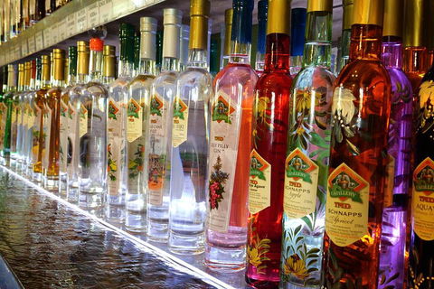 Bar & Brewery Tour - Airlie Beach Holiday 4