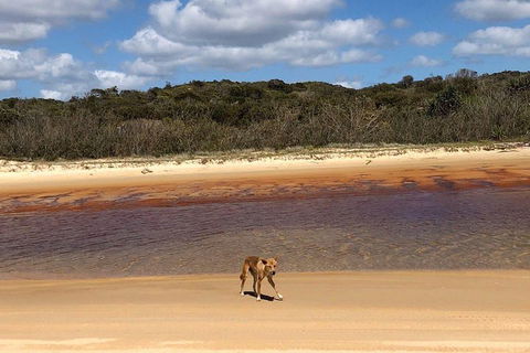 Pippies 3 Days 2 Nights Fraser Island Tour - Airlie Beach Holiday 2