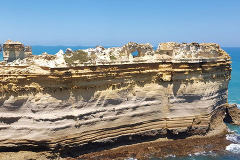 Luxury Private Great Ocean Road Tour Up To 11 People - Entire Vehicle - Airlie Beach Holiday 4