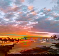 1 Hour Broome Sunset Camel Tour - Airlie Beach Holiday
