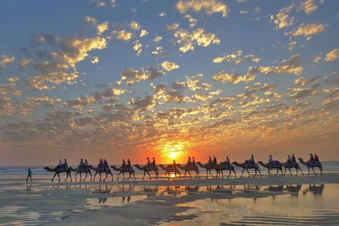 1 Hour Broome Sunset Camel Tour - Airlie Beach Holiday 1