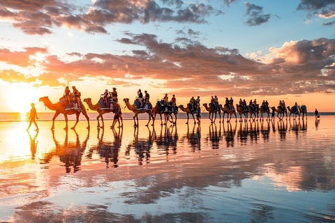 1 Hour Broome Sunset Camel Tour - Airlie Beach Holiday 2