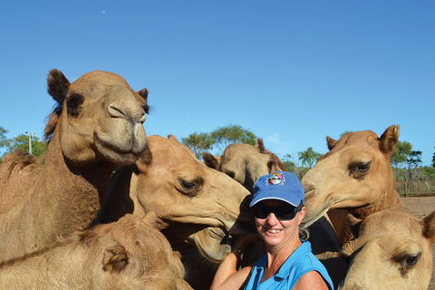1 Hour Broome Sunset Camel Tour - Airlie Beach Holiday 3