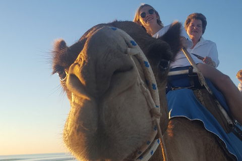 1 Hour Broome Sunset Camel Tour - Airlie Beach Holiday 4