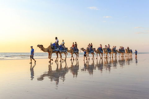 1 Hour Broome Sunset Camel Tour - Airlie Beach Holiday 5