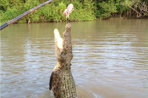Litchfield National Park And Jumping Crocodile Cruise - Airlie Beach Holiday 2