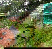 Port Arthur Richmond and Tasman Peninsula Day Trip from Hobart - Airlie Beach Holiday