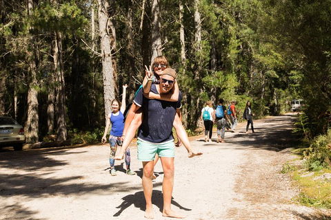 7-Day Best Of Tasmania Adventure Experience From Hobart (flexible Ticket) - Airlie Beach Holiday 5