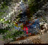 5-Day Lap of Tasmania Tour from Hobart flexible ticket - Airlie Beach Holiday