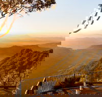 O'Reilly's  Lamington National Park incl. Alpaca Farm  Vineyard - Airlie Beach Holiday