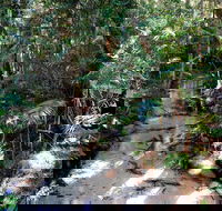 Fraser Island 4WD Tour from Rainbow Beach - Airlie Beach Holiday