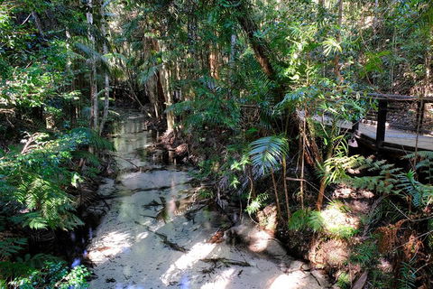 Fraser Island 4WD Tour From Rainbow Beach - Airlie Beach Holiday 0