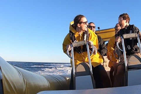 Noosa Oceanrider - Adventure Tour - Airlie Beach Holiday 0