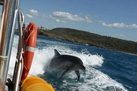 Noosa Oceanrider - Adventure Tour - Airlie Beach Holiday 1