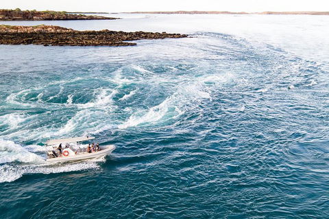 Giant Tides Tour - Cygnet Bay Pearl Farm - Airlie Beach Holiday 4