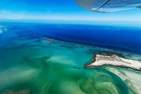 Wet Season Incredible Islands Tour - Horizontal Falls & Cygnet Bay Pearl Farm - Airlie Beach Holiday 4